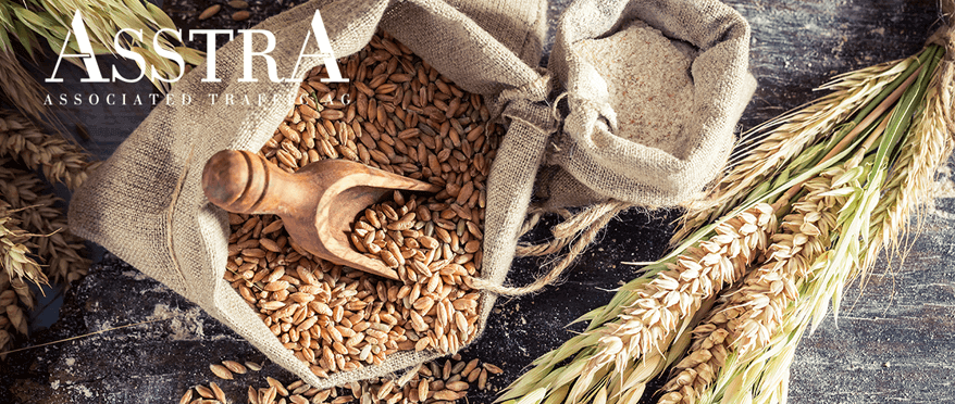 AsstrA Business - Проблеми на зърнената инфраструктура